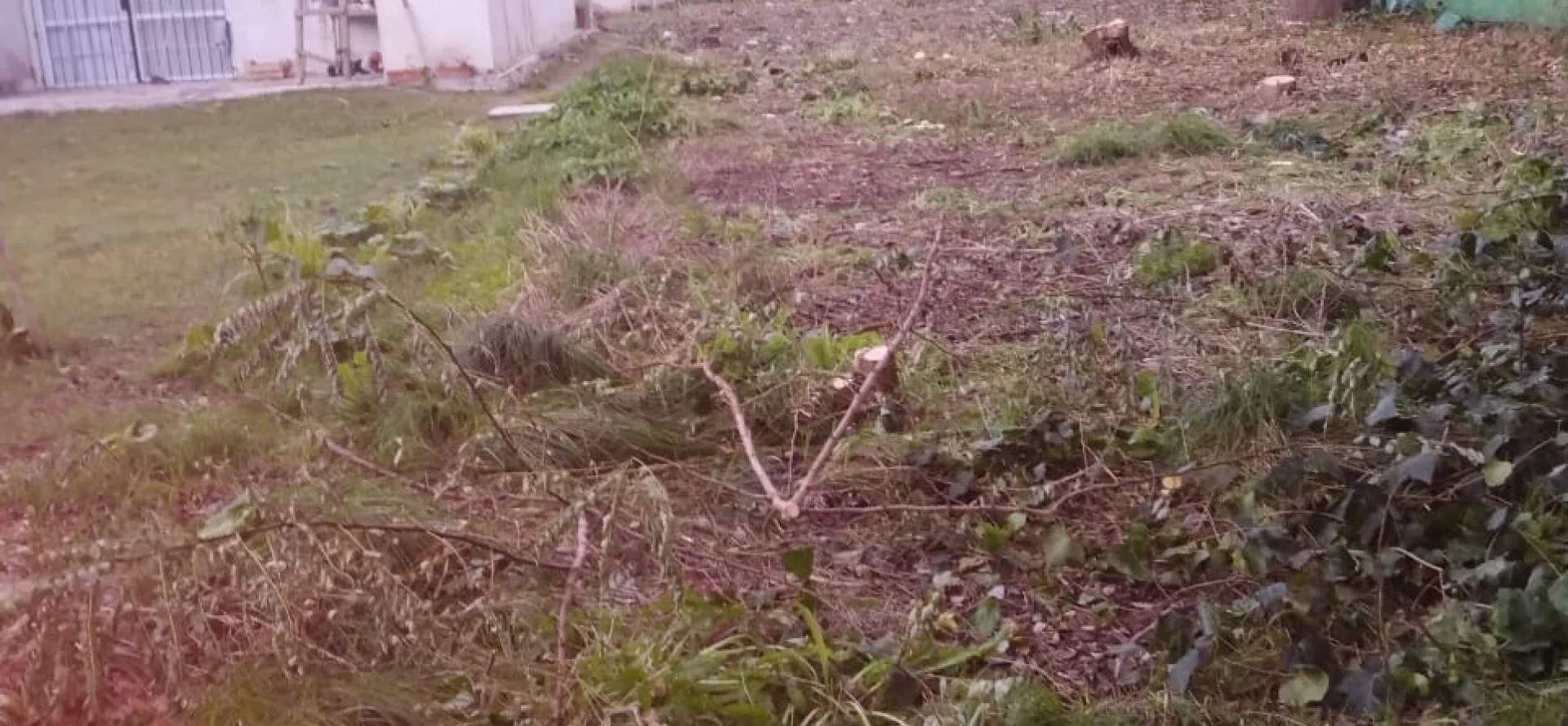 Lote en Magdalena